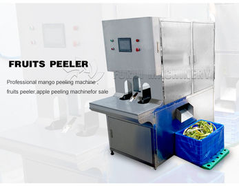 China 220V Fruit And Vegetable Processing Machine Full Automatic Peeling Washing System supplier