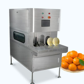 China Customized Fruit And Vegetable Processing Equipment With Touch Screen supplier